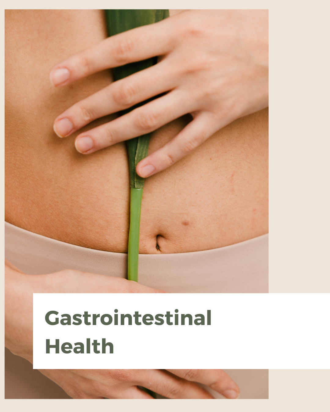 Saúde Gastrointestinal